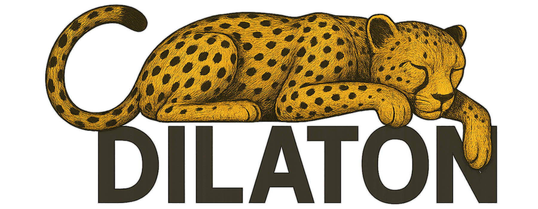 Dilaton