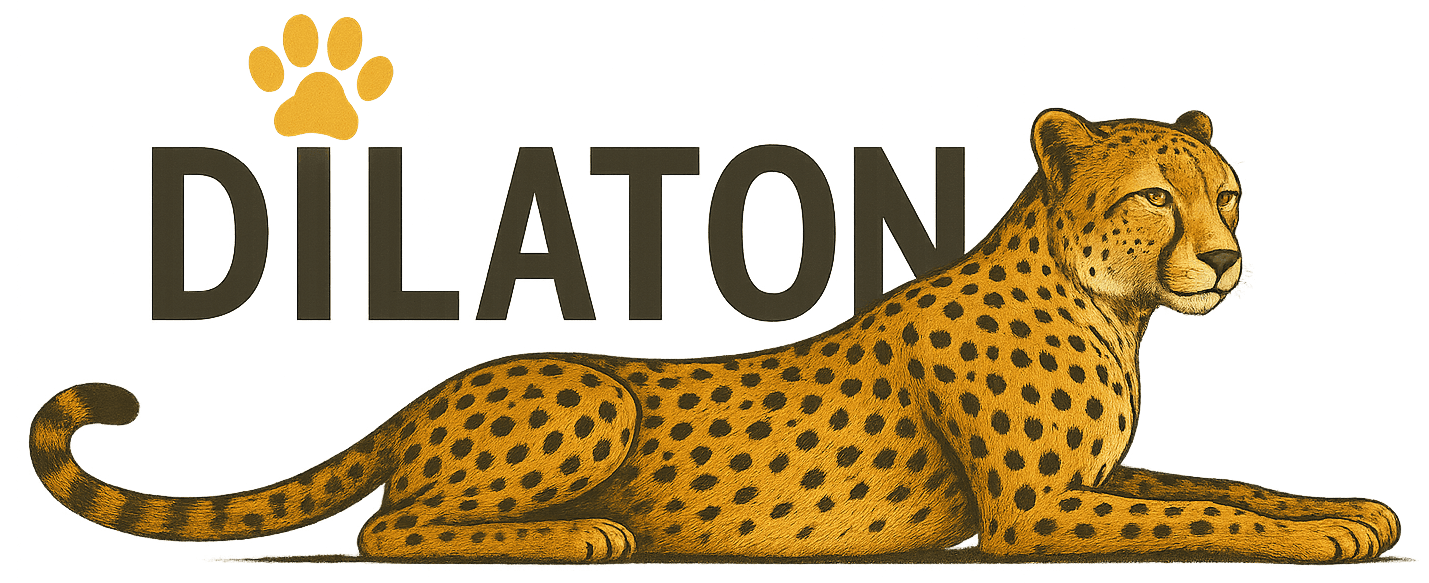 Dilaton